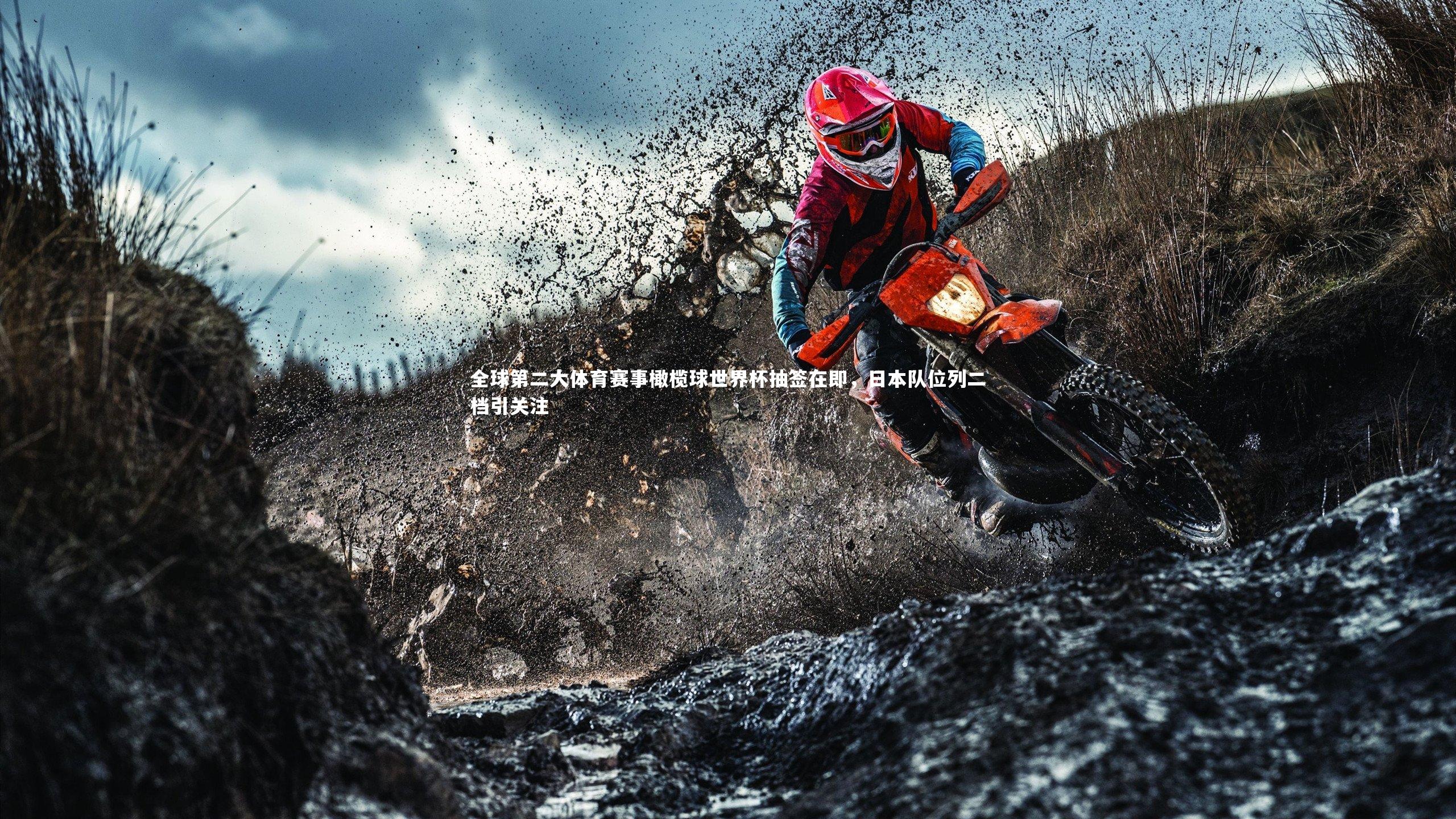 全球第二大体育赛事橄榄球世界杯抽签在即,日本队位列二档引关注