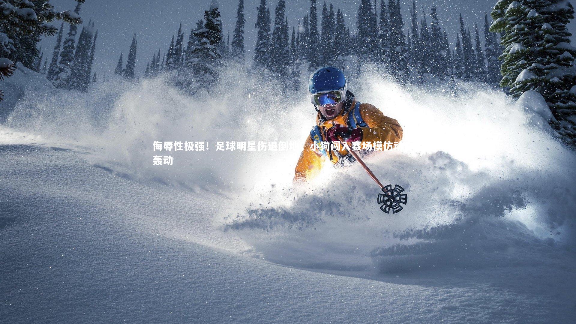 侮辱性极强!足球明星伤退倒地,小狗闯入赛场模仿动作引轰动