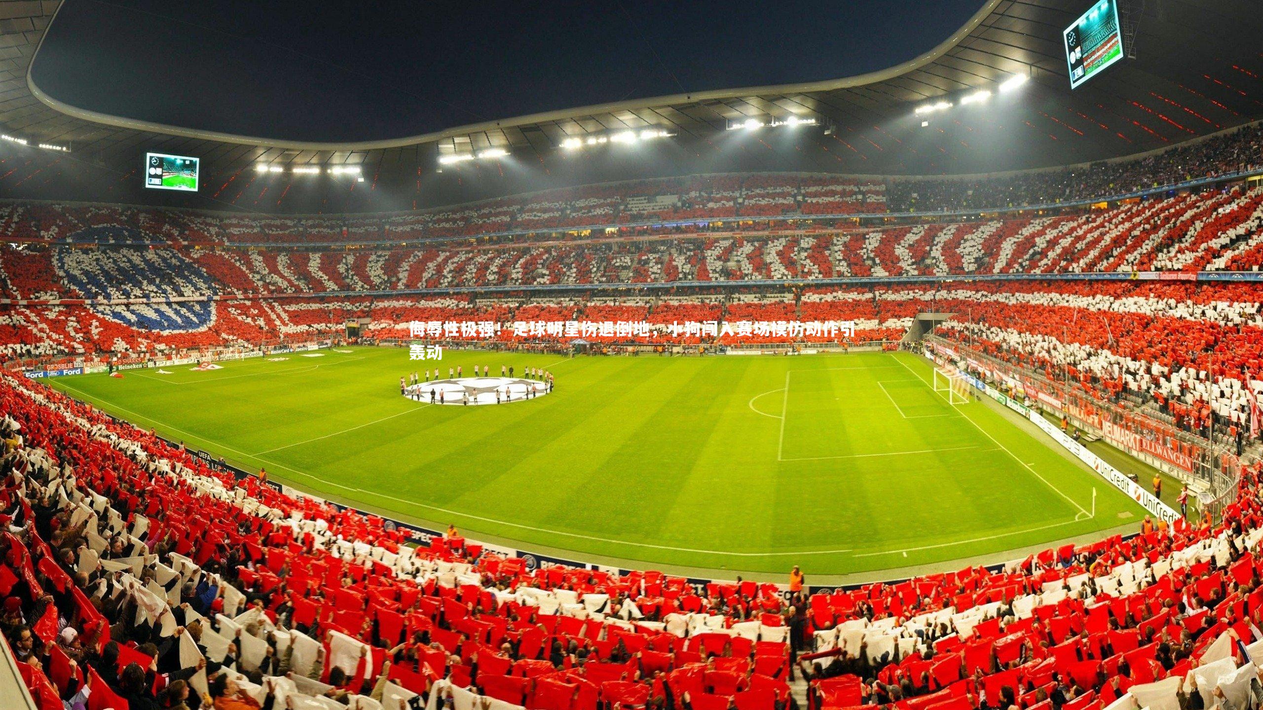 侮辱性极强!足球明星伤退倒地,小狗闯入赛场模仿动作引轰动